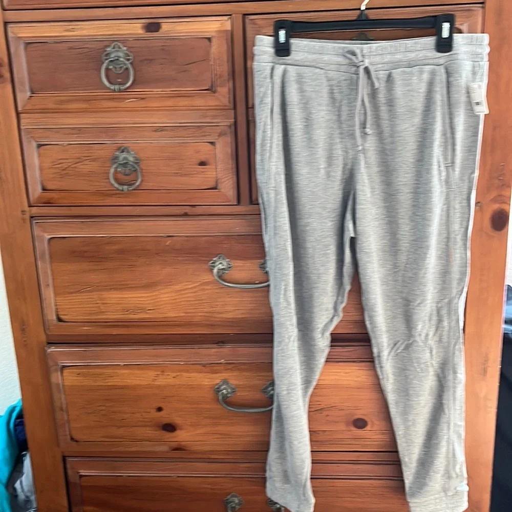 NWT Free People Back Into It gray light joggers